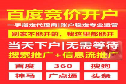 百度搜索推广案例集锦：实战技巧与策略解析